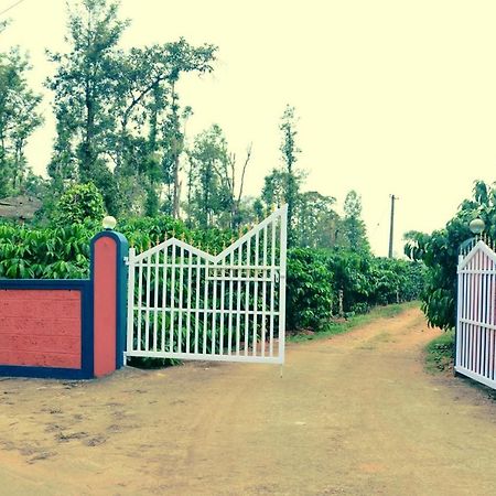 Agastya Lake View Coorg 马迪凯里 外观 照片