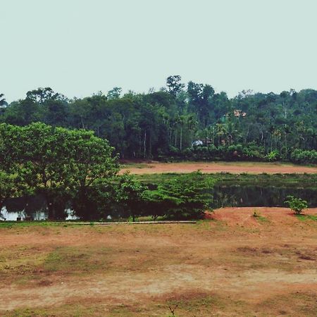 Agastya Lake View Coorg 马迪凯里 外观 照片