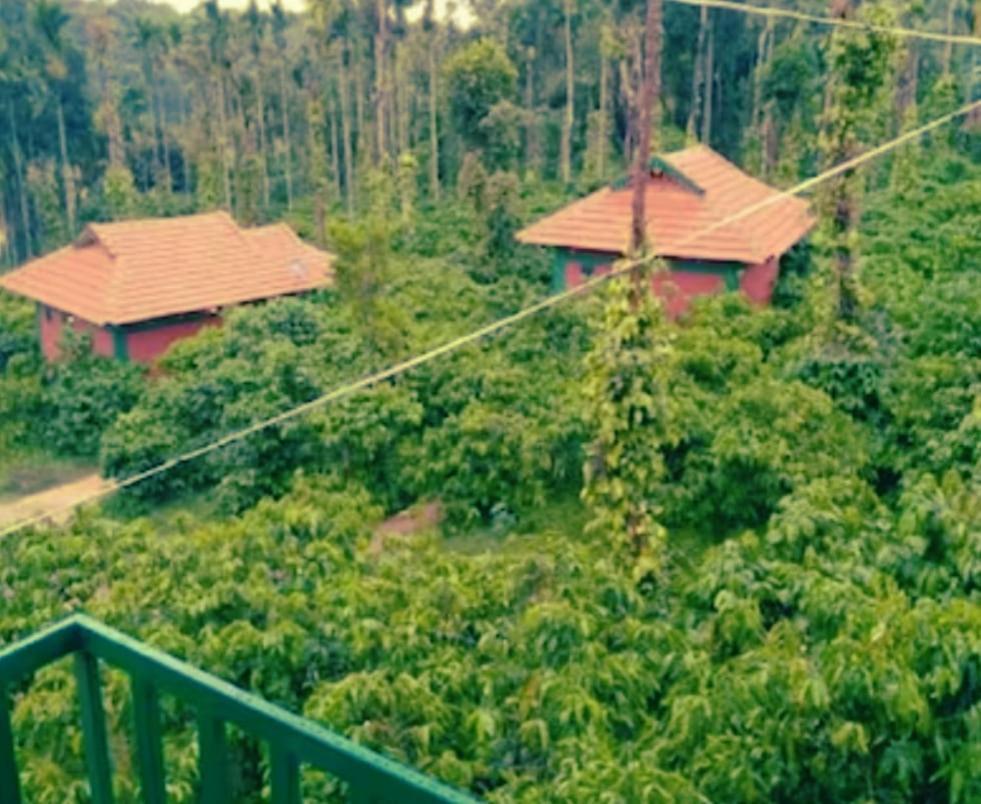Agastya Lake View Coorg 马迪凯里 外观 照片