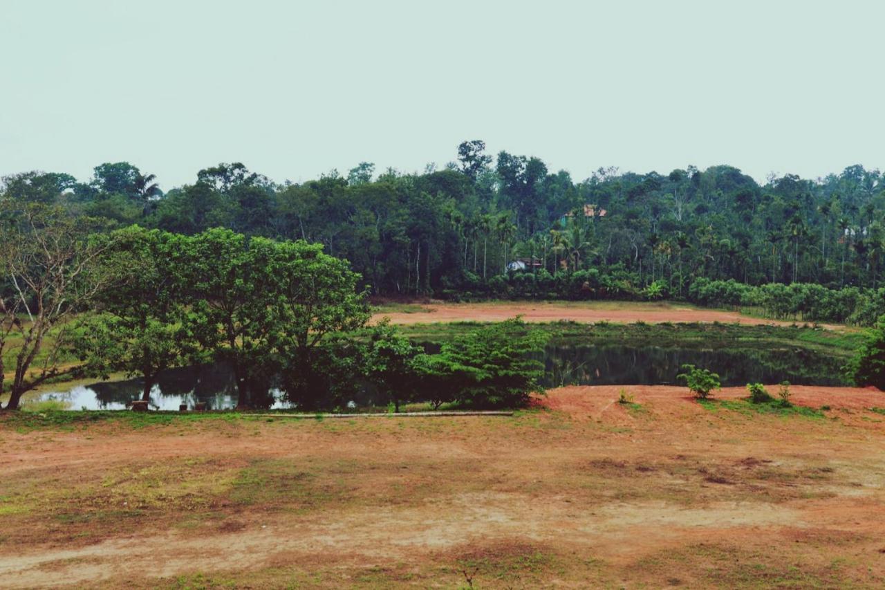 Agastya Lake View Coorg 马迪凯里 外观 照片