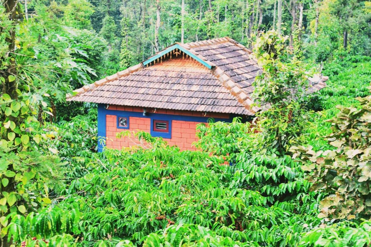 Agastya Lake View Coorg 马迪凯里 外观 照片