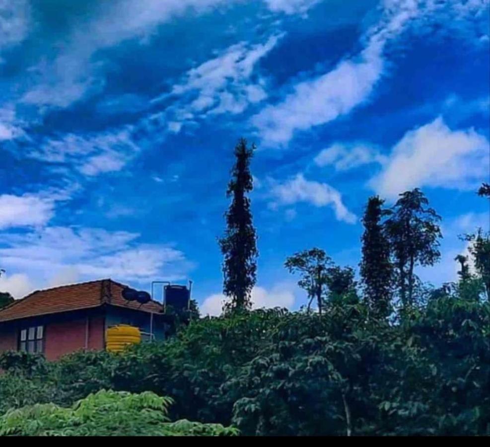 Agastya Lake View Coorg 马迪凯里 外观 照片