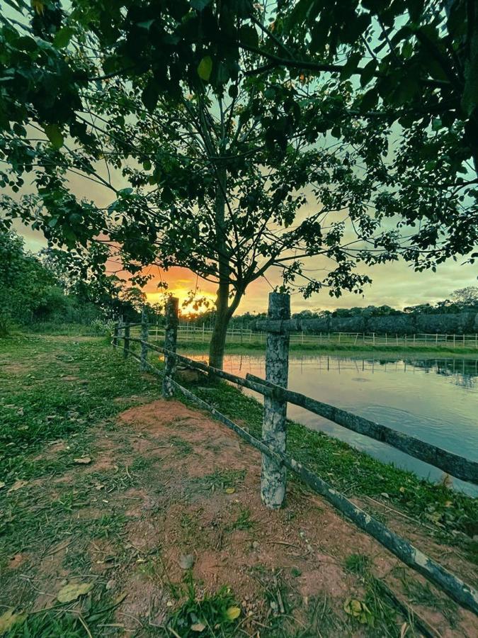 Agastya Lake View Coorg 马迪凯里 外观 照片